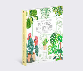 Tout savoir sur mes plantes d'intérieur